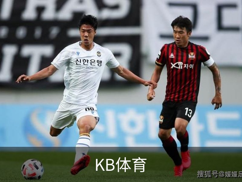 KB体育·(中国)官方网站-KBSPORTS
